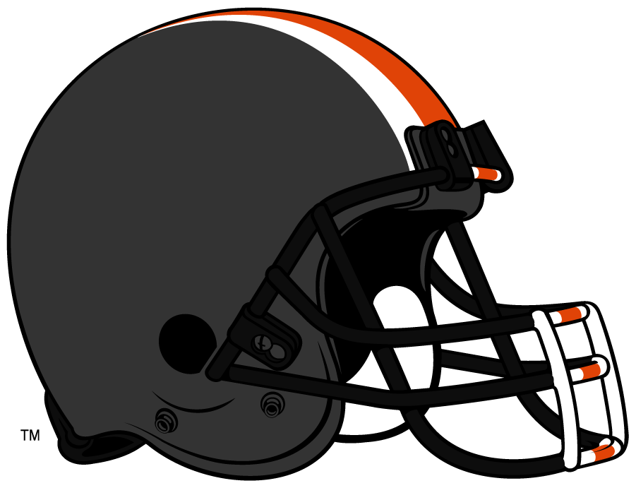 Oregon State Beavers 2013-2014 Helmet Logo diy DTF decal sticker